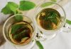 Nejlepší čaj na hubnutí - Smysl má zelený, mátový, skořicový, zázvorový i kopřivový